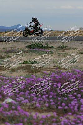 media/Jan-14-2023-SoCal Trackdays (Sat) [[497694156f]]/Turn 14 Exit Bloomig (145pm)/